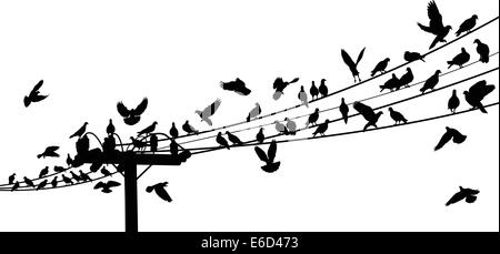 Vector silhouettes of birds roosting on telegraph wires Stock Vector