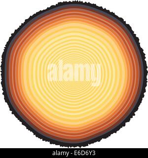 Editable vector illustration of tree rings on a 67-year-old tree stump Stock Vector