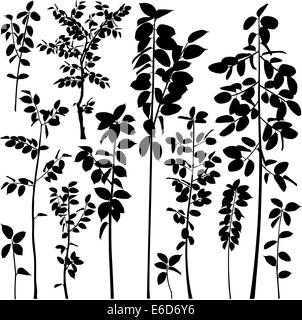 Set of editable vector silhouettes of generic tree saplings Stock Vector