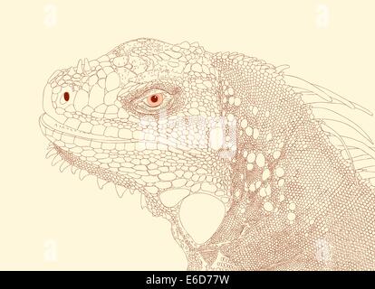 Detailed editable vector illustration of an iguana head Stock Vector