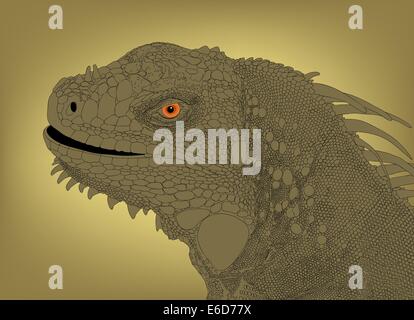 Detailed editable vector illustration of an iguana head Stock Vector