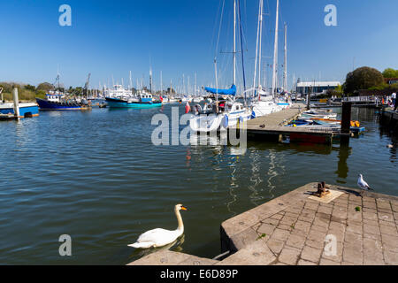 Boats in Lymington Harbour Hampshire England UK Europe Stock Photo