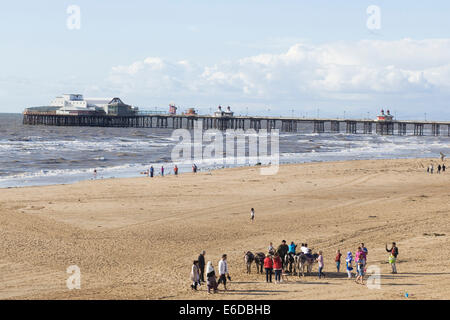 Holiday makers with donkeys on the beach Blackpool Lancashire UK Stock Photo