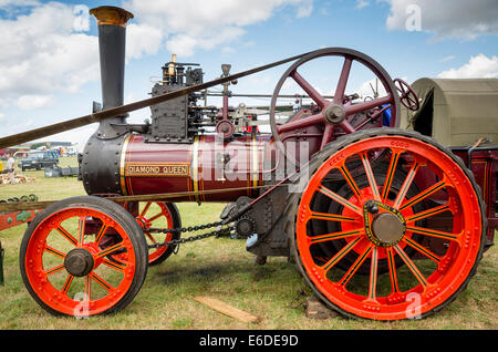 'Diamond Queen' steam traction engine with belt drive to saw bench Stock Photo