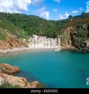 Petit Bot Bay Forest in Guernsey Channel Islands Stock Photo