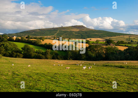 Titterstone Clee hill in summer, Shropshire, England Stock Photo