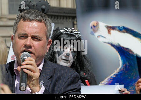 London, UK. 21st August, 2014. Dominic Dyer speaks to protesters outside the High Court in London as the Badger Trust seek a Judicial Review challenge against the DEFRA Secretary of State Liz Truss and Natural England on the Government's highly controversial badger cull policy. Stock Photo