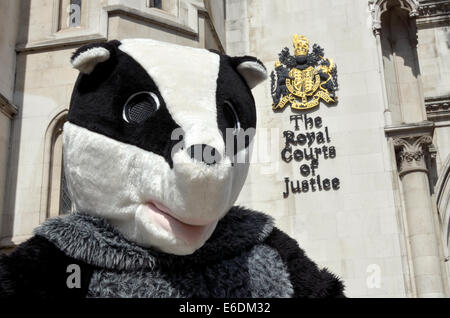 London, UK. 21st August, 2014. Protesters outside the High Court in London as the Badger Trust seek a Judicial Review challenge against the DEFRA Secretary of State Liz Truss and Natural England on the Government's highly controversial badger cull policy. Stock Photo