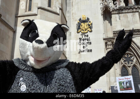 London, UK. 21st August, 2014. Protesters outside the High Court in London as the Badger Trust seek a Judicial Review challenge against the DEFRA Secretary of State Liz Truss and Natural England on the Government's highly controversial badger cull policy. Stock Photo