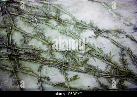 The dark image, the background, the imposition of abstract textures Stock Photo