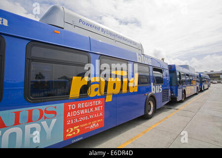 10 freeway express big blue bus