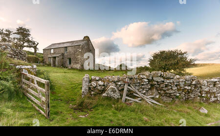 An old abandoned farm cottage on Bodmin Moor in Cornwall - vintage effect Stock Photo