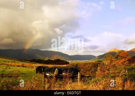 Rainbow over the Fells Stock Photo