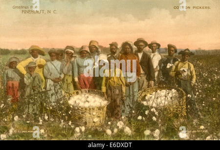 Group of African-American Cotton Pickers in Field, Portrait, Pinehurst, North Carolina, USA, Hand-Colored Postcard, 1912 Stock Photo