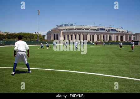 old yankee stadium field now｜TikTok Search