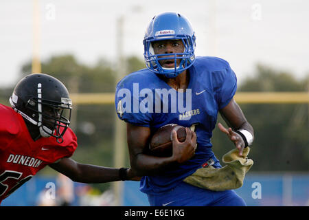 Largo, Florida, US. 21st Aug, 2014. Largo quarterback Donavan Hale (4) dodges Dunedin High School's Alexander Booker (51), left, during Thursday's (8/21/14) preseason football jamboree with Dunedin High School at Largo. © Douglas R. Clifford/Tampa Bay Times/ZUMA Wire/Alamy Live News Stock Photo