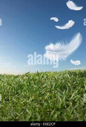 white feathers falling down on green grass Stock Photo