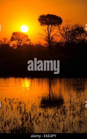 Sunset over the Chobe River, Kasane, Chobe, Botswana Stock Photo