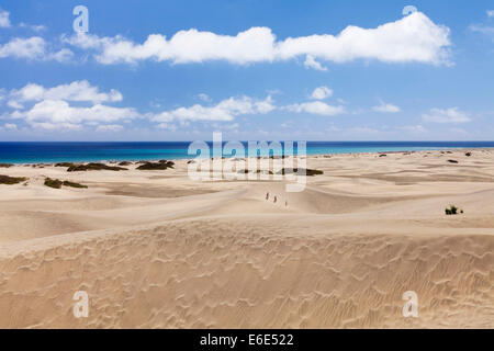 Dunes and beach of Maspalomas, Gran Canaria, Canary Islands, Spain Stock Photo