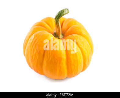 Fresh orange pumpkin, isolated on white background Stock Photo