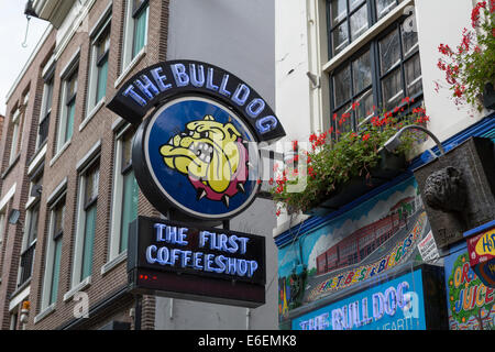 Bulldog Coffee Shop in Amsterdam Editorial Image - Image of 1975, still:  46565910