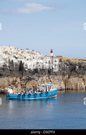 Lighthouse on Staple Island and rocky cliffs with sea birds taken from the sea, with Billy Shiel day trip boat in foreground Stock Photo