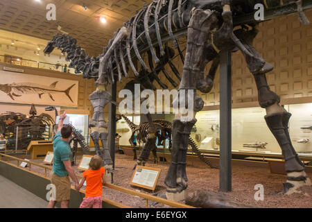 Peabody Museum of Natural History Yale University Stock Photo