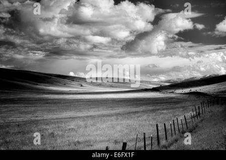 Pasture clouds and fence. Zumwalt Prairie Preserve, Oregon,cow,cows