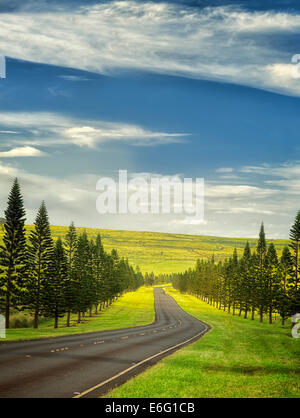 A winding, country road, with a tree on the right and many more distant  trees, hills and mist in the background Stock Photo - Alamy