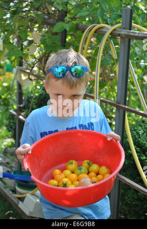 Boy with Tomatoes in the Garden Stock Photo - Alamy