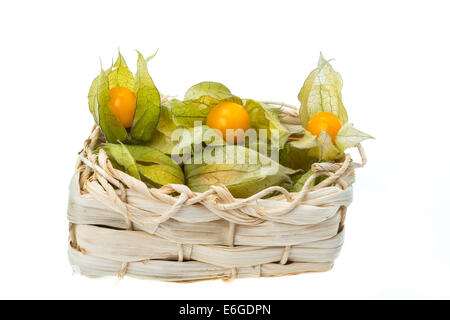 Physalis fruit in a basket, also known as Cape Gooseberry or Winter Cherry - studio shot with a white background