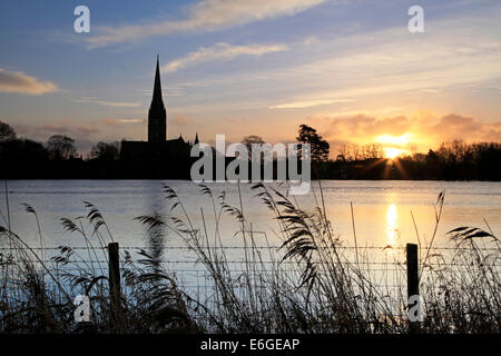 Flooded water meadows beside Salisbury Cathedral in Wiltshire, England. Stock Photo