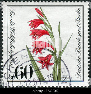 GERMANY - CIRCA 1981: Postage stamp printed in Germany (West Berlin), shows a flowering Gladiolus palustris, circa 1981 Stock Photo