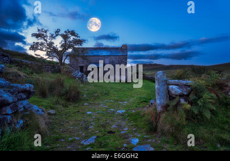 Creepy derelict haunted house under a full moon  (Elements of this image (moon) furnished by NASA) Stock Photo