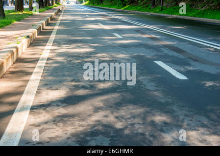 Empty road in the city after rain closeup Stock Photo