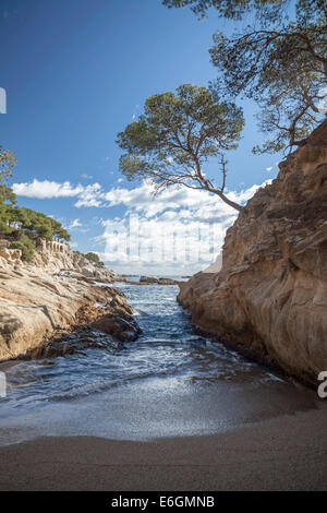 Platja d´Aro,Costa Brava,Catalonia,Spain Stock Photo - Alamy