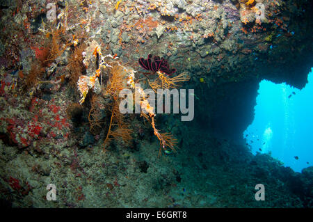 Feydhoo Finolhu Maldives Stock Photo - Alamy