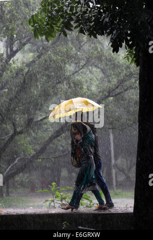 Dhaka, Bangladesh. 23rd Aug, 2014. A couple walking using umbrella under rain in Dhaka.Dhaka is the second most vulnerable city to serious flooding among nine coastal cities globally and will remain so until 2100 unless measures to counter the threat are taken, an international study suggests © Zakir Hossain Chowdhury/ZUMA Wire/Alamy Live News Stock Photo