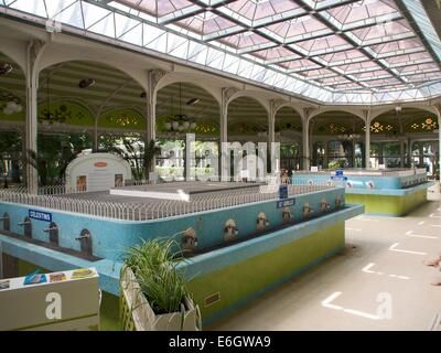 Trink Hall, Vichy spa. Hall des Sources. Allier department. Auvergne Rhone Alpes. France Stock Photo