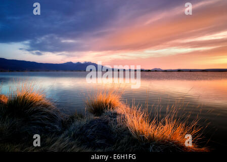 Sunrise on borax pond with Steens mountain.  Borax Lake Preserve, Oregon Stock Photo