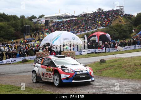 Baumholder, Germany. 23rd Aug, 2014. Robert Kubica and co-driver Maciej Szczepaniak (both Poland) pass the special stage of the ADAC Rallye Deutschland part of the WRC Rallye Championships at the military training grounds in Baumholder, Germany, 23 August 2014. Photo: THOMAS FREY/dpa/Alamy Live News Stock Photo