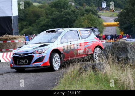 Baumholder, Germany. 23rd Aug, 2014. Thierry Neuville and co-driver Nicolas Gilsoul (both CBelgium) pass the special stage of the ADAC Rallye Deutschland part of the WRC Rallye Championships at the military training grounds in Baumholder, Germany, 23 August 2014. Photo: THOMAS FREY/dpa/Alamy Live News Stock Photo