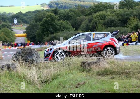 Baumholder, Germany. 23rd Aug, 2014. Thierry Neuville and co-driver Nicolas Gilsoul (both Belgium) pass the special stage of the ADAC Rallye Deutschland part of the WRC Rallye Championships at the military training grounds in Baumholder, Germany, 23 August 2014. Photo: THOMAS FREY/dpa/Alamy Live News Stock Photo