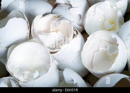 A close-up shot of a very large pile of white egg shells that are cracked open, used in preparation of food, & then discarded. Stock Photo
