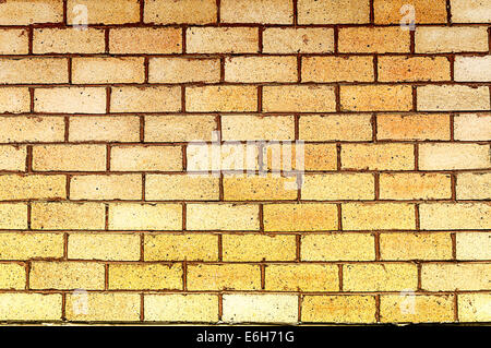 Yellow brick wall texture seamless tileable,Background Stock Photo