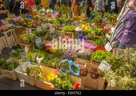 Florist and Fresh flowers at Portobello Market in Notting Hill, London, England Stock Photo