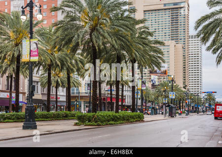 Palm trees line the neutral ground of Canal Street in downtown New Orleans, Louisiana Stock Photo