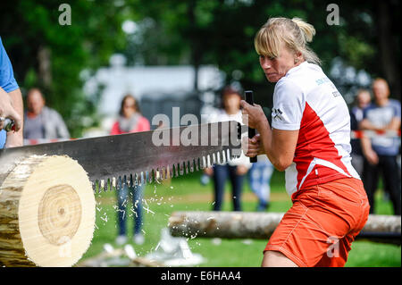 Maetaguse, Estonia. 23rd Aug, 2014. A player competes in log-sawing, a game during the Nordic axe throwing championship, in Maetaguse, Estonia, on Aug. 23, 2014. More than 100 best axe throwers from Denmark, Sweden, Finland and Estonia compete in the Nordic axe throwing championship, which lasts from 22 to 23 of August. © Sergei Stepanov/Xinhua/Alamy Live News Stock Photo