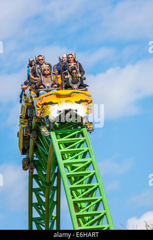 Park guests riding Cheetah Hunt roller coaster at Busch Gardens Tampa Bay in Tampa, Florida Stock Photo