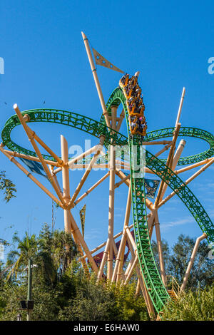Park guests riding Cheetah Hunt roller coaster at Busch Gardens Tampa Bay in Tampa, Florida Stock Photo